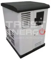Газовый генератор REG GG12-230S с АВР