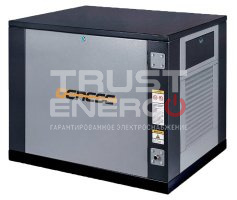 Газовый генератор Genese Standard 7500 Neva кожухе